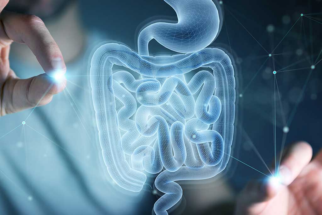 Il Microbiota Intestinale - Amaperbene.it