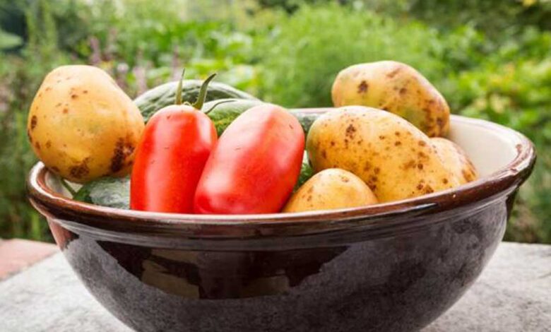 Rimuovere i composti tossici da patate e pomodori